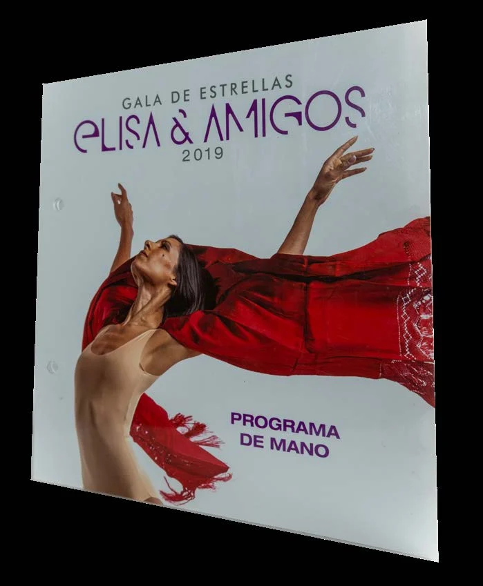 Programa de mano incluido en el brochure de publicaciones de Editorial CIGOME